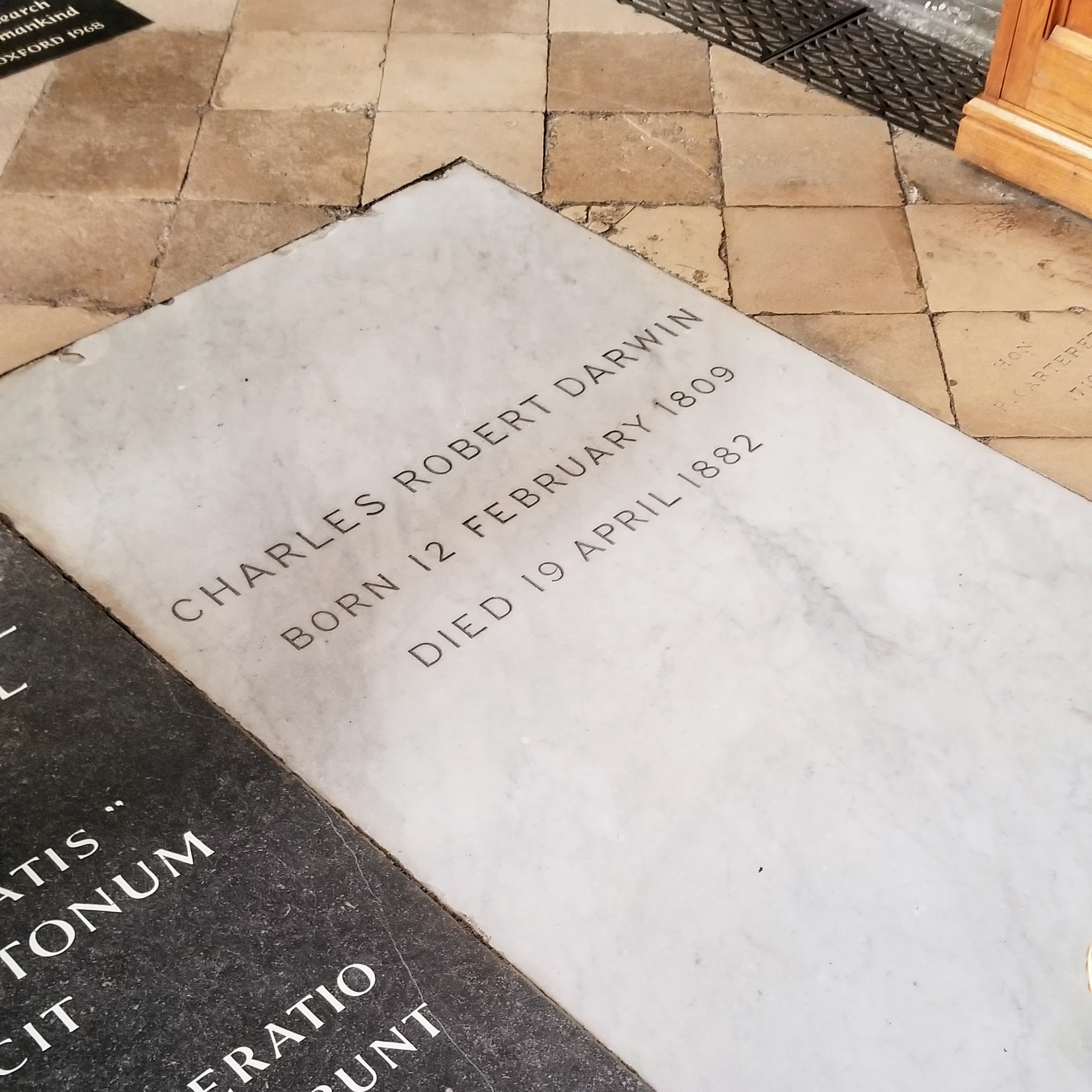 Tumba de Charles Darwin en Westminster abby